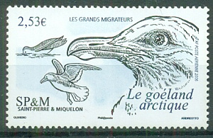 Сан-Пьер и Микелон, Птицы, 2006, 1 марка